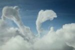 British Airways - Dolphins